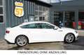 Audi A5 Sportback 45 TFSI Quattro+S-line+Matrix+LED Blanc - thumbnail 3