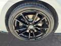Volkswagen Golf R R 4Motion 2.0 TSI Weiß - thumbnail 13