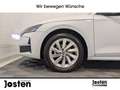 Skoda Octavia Selection 1.5 TSI Lodge ACC NAVI RFK VIRTUAL Wit - thumbnail 2