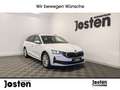 Skoda Octavia Selection 1.5 TSI Lodge ACC NAVI RFK VIRTUAL Wit - thumbnail 1