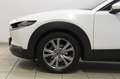 Mazda CX-30 2.0L Skyactiv-G M Hybrid 2WD Exclusive Blanc - thumbnail 4