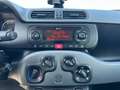 Fiat Panda Panda III 2016 1.2 Lounge easypower Gpl 69cv my19 Gris - thumbnail 14