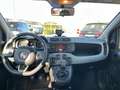 Fiat Panda Panda III 2016 1.2 Lounge easypower Gpl 69cv my19 Gris - thumbnail 10