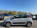 Fiat Panda Panda III 2016 1.2 Lounge easypower Gpl 69cv my19 Gris - thumbnail 5