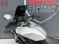 BMW F 900 XR Wit - thumbnail 19