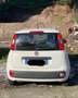 Fiat Panda 1.3 mjt 16v Easy 75cv Blanc - thumbnail 4