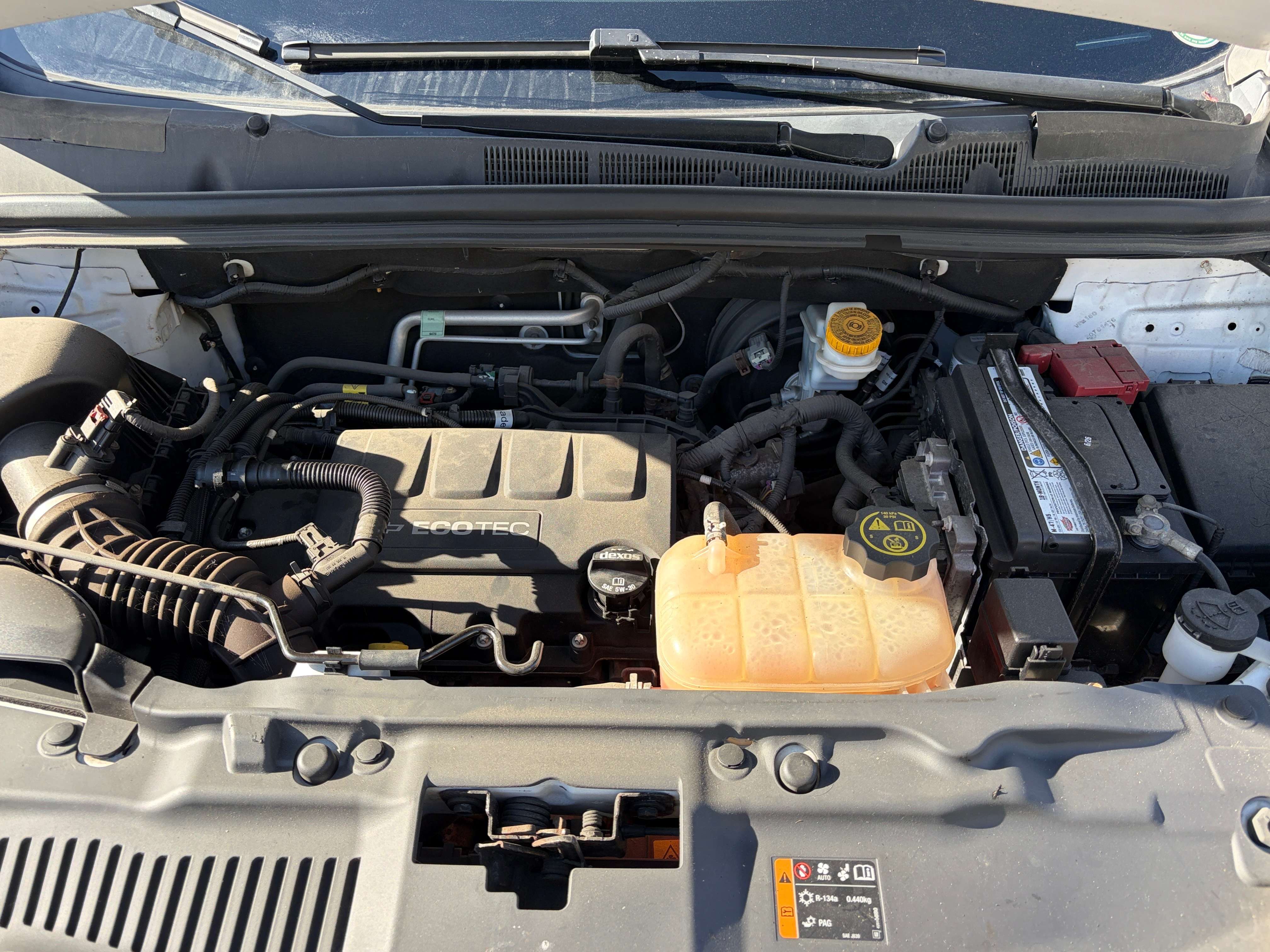 Image 19
