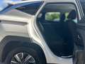 Hyundai TUCSON Trend Hybrid 2WD 1.6 T-GDI EU6d Navi Digitales Coc Weiß - thumbnail 13