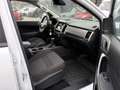 Ford Ranger DC TD EcoBlue XLT AUT Blanc - thumbnail 9