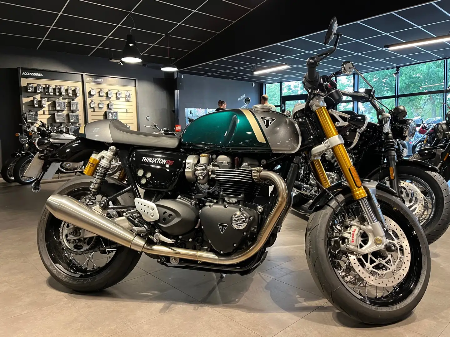 Triumph Thruxton Zöld - 1