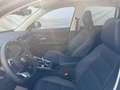 MG ZS Hybrid+ Luxury Grün - thumbnail 10