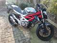 Suzuki Gladius 650 - thumbnail 2