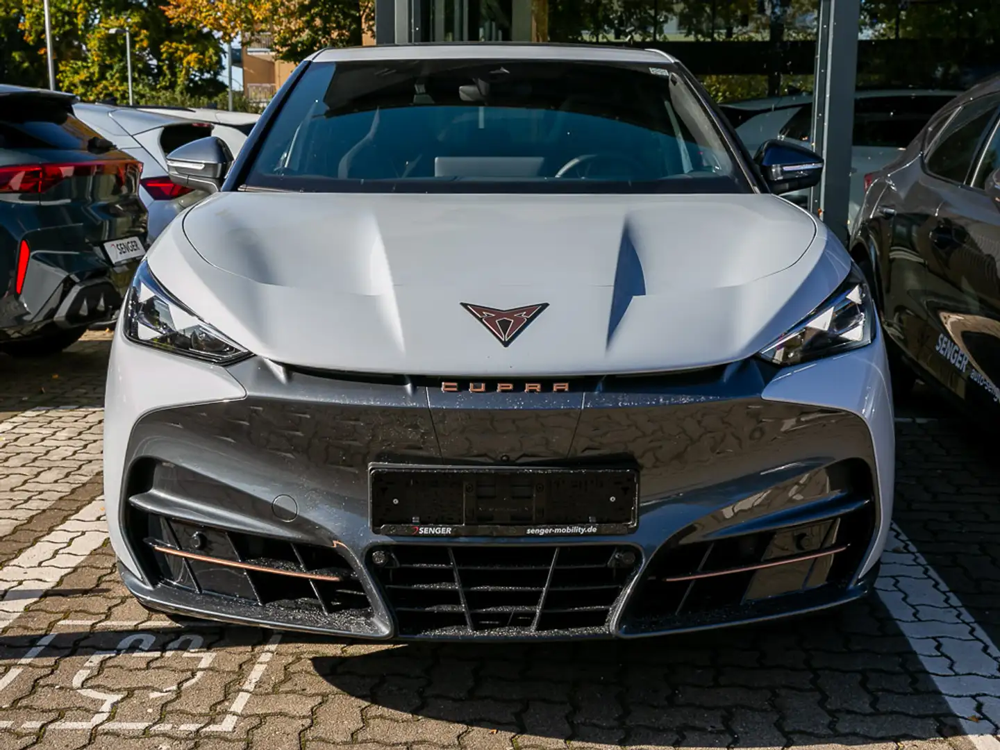 CUPRA Tavascan Endurance Adrenaline Wärmepumpe Navi Weiß - 2