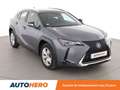 Lexus UX 250h 250h Pack Confort Business 2WD Gris - thumbnail 8