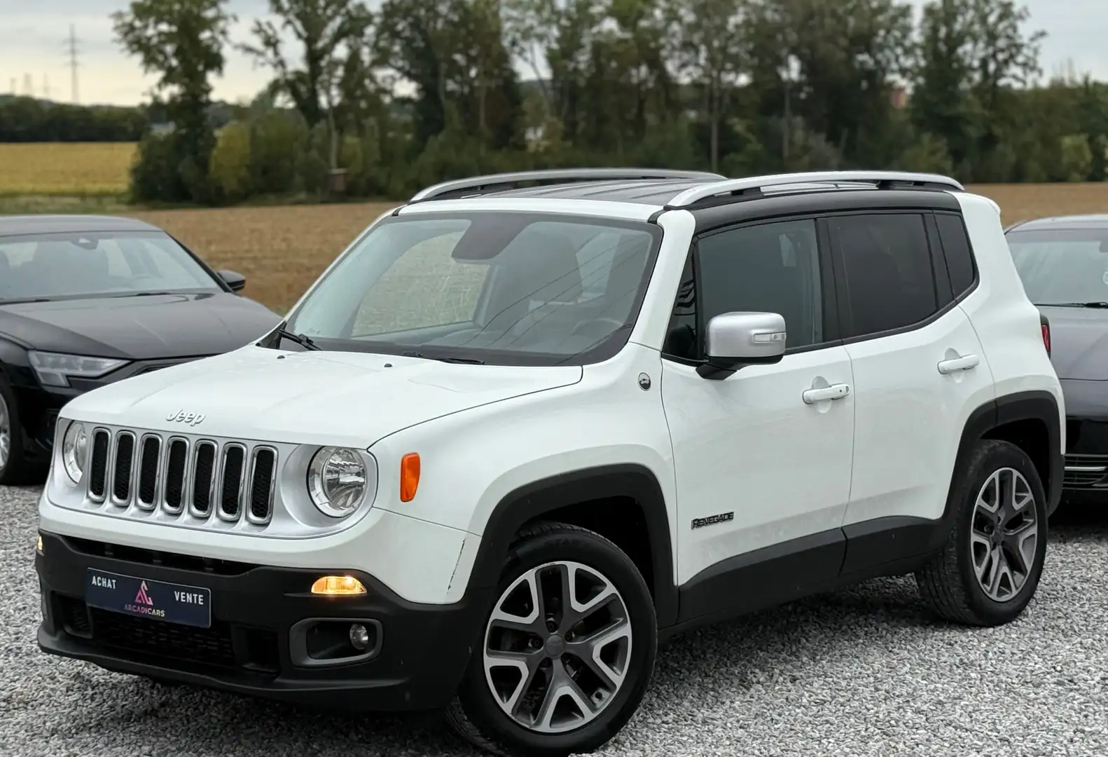 Jeep Renegade Renegade 1.4 Turbo 4x2 Limited Euro 6b - Full Wit - 1