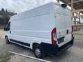 Citroen Jumper Jumper 35 L3H2  140 neuer Motor!!! Weiß - thumbnail 5