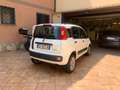 Fiat Panda Panda 0.9 t.air t. natural power Easy 80cv Blanco - thumbnail 11