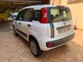 Fiat Panda Panda 0.9 t.air t. natural power Easy 80cv Blanco - thumbnail 8