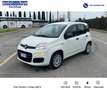 Fiat Panda Fiat Panda 1.2 Easy Easypower Gpl 69cv Weiß - thumbnail 1