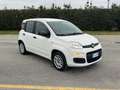 Fiat Panda Fiat Panda 1.2 Easy Easypower Gpl 69cv Weiß - thumbnail 3