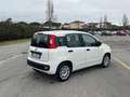Fiat Panda Fiat Panda 1.2 Easy Easypower Gpl 69cv Weiß - thumbnail 5