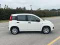 Fiat Panda Fiat Panda 1.2 Easy Easypower Gpl 69cv Weiß - thumbnail 4