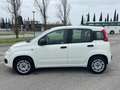 Fiat Panda Fiat Panda 1.2 Easy Easypower Gpl 69cv Weiß - thumbnail 7