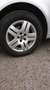 Volkswagen Golf 1.9TDI Conceptline - thumbnail 18