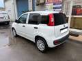 Fiat Panda Panda 1.2 Pop s Wit - thumbnail 4