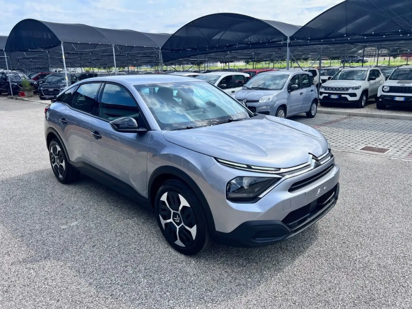 Citroen C4 PureTech 100 S&S You Grigio - 2