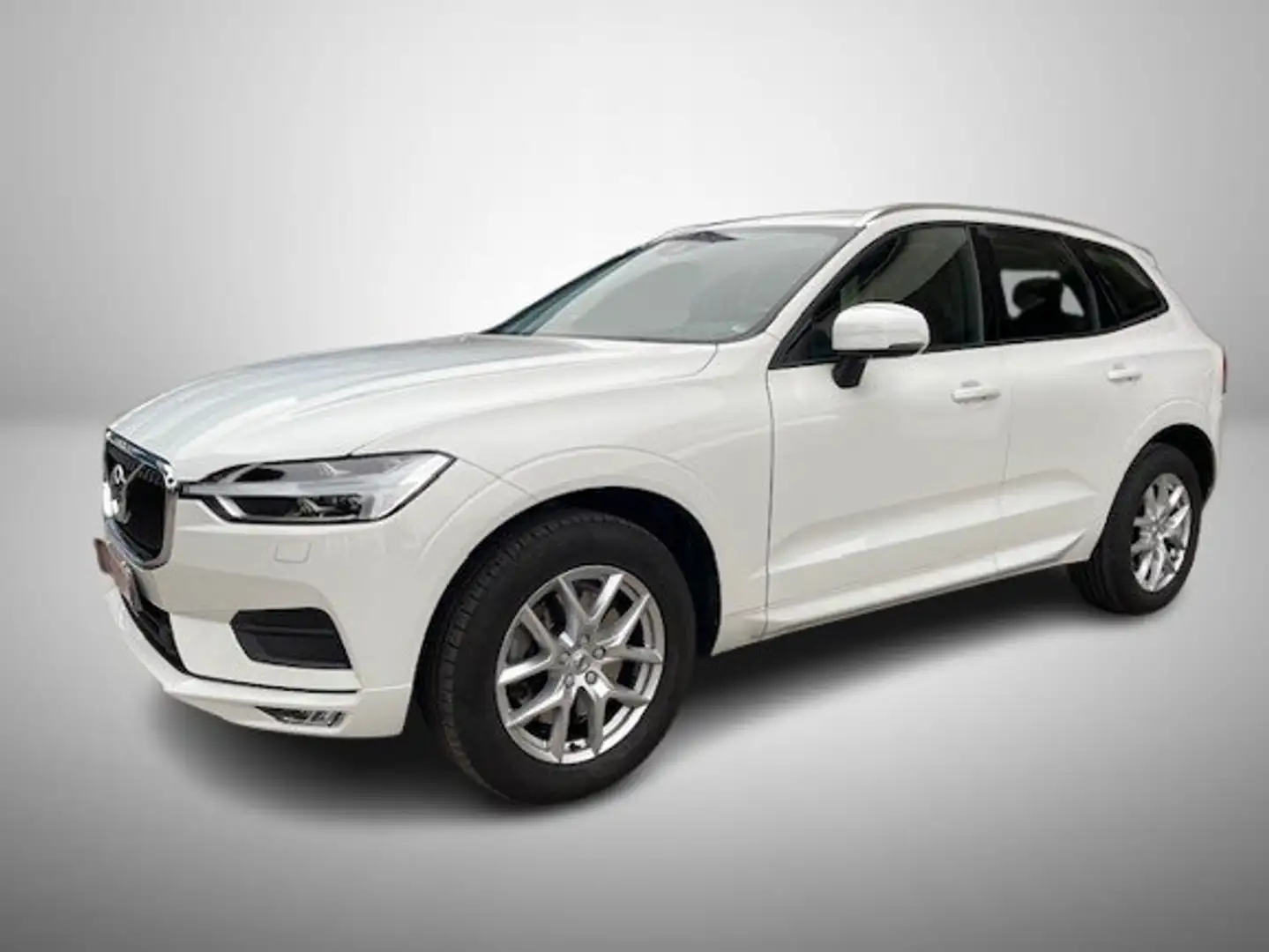 Volvo XC60 XC60 2.0 B4 d Business Plus awd geartronic my20 Bianco - 2