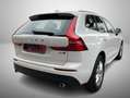 Volvo XC60 XC60 2.0 B4 d Business Plus awd geartronic my20 Bianco - thumbnail 6