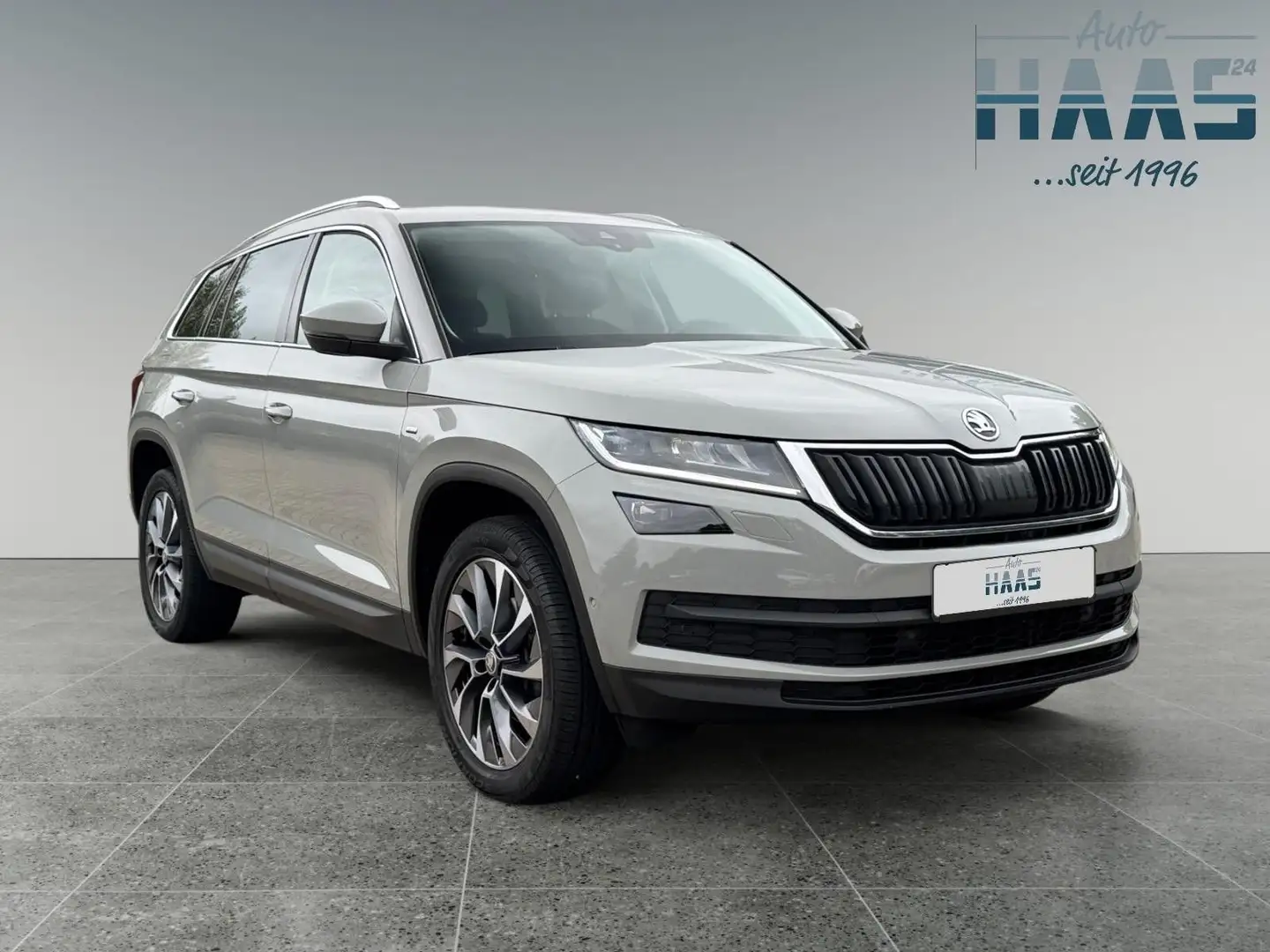 Skoda Kodiaq Drive 125 4x4 ACC Lane Standh AHK Grau - 1
