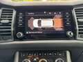 Skoda Kodiaq Drive 125 4x4 ACC Lane Standh AHK Gris - thumbnail 13