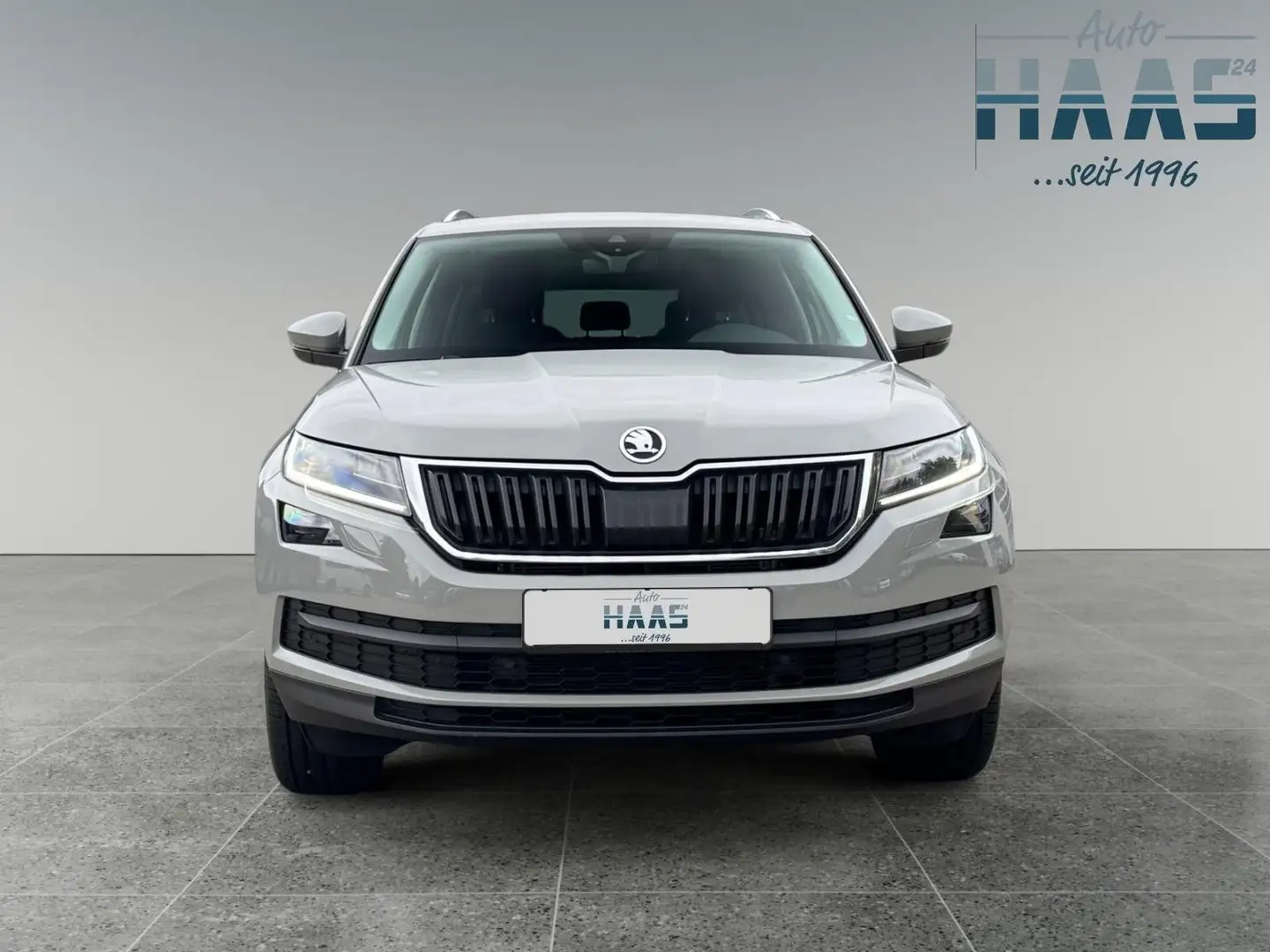 Skoda Kodiaq Drive 125 4x4 ACC Lane Standh AHK Grau - 2