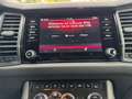Skoda Kodiaq Drive 125 4x4 ACC Lane Standh AHK Gris - thumbnail 15