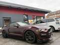 Ford Mustang 2,3 EcoBoost Aut. "Shalby Look". ( alles Typisi... Rot - thumbnail 3