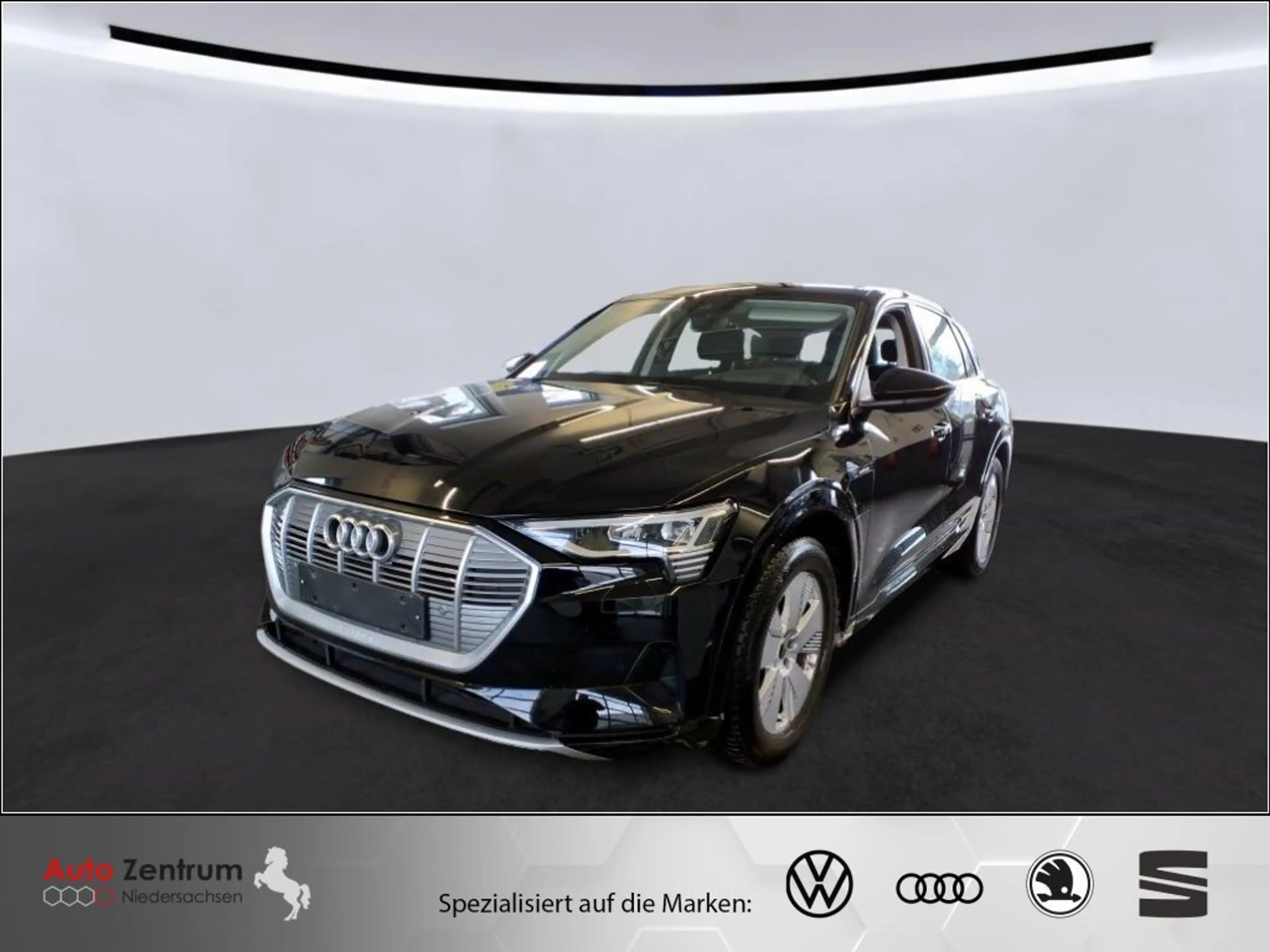 Audi e-tron 55 quattro advanced AZN-Haus-Förderung* HUD Kamera