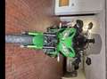 Kawasaki Versys 650 tour Verde - thumbnail 1