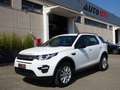 Land Rover Discovery Sport Discovery Sport 2.0 td4 Pure awd 150cv 7p auto Bianco - thumbnail 1