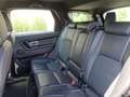 Land Rover Discovery Sport Discovery Sport 2.0 td4 Pure awd 150cv 7p auto Bianco - thumbnail 12