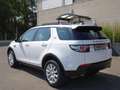 Land Rover Discovery Sport Discovery Sport 2.0 td4 Pure awd 150cv 7p auto Bianco - thumbnail 5