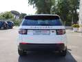 Land Rover Discovery Sport Discovery Sport 2.0 td4 Pure awd 150cv 7p auto Bianco - thumbnail 6