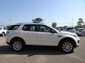 Land Rover Discovery Sport Discovery Sport 2.0 td4 Pure awd 150cv 7p auto Bianco - thumbnail 4