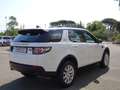 Land Rover Discovery Sport Discovery Sport 2.0 td4 Pure awd 150cv 7p auto Bianco - thumbnail 7