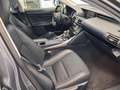 Lexus IS 300 300h Hybrid Drive Navi Tecno - thumbnail 16