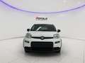 Fiat Panda 1.0 ADAS ICON Hybrid PROMO CAR SERENITY Bianco - thumbnail 2