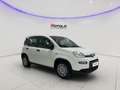 Fiat Panda 1.0 ADAS ICON Hybrid PROMO CAR SERENITY Bianco - thumbnail 3