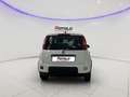 Fiat Panda 1.0 ADAS ICON Hybrid PROMO CAR SERENITY Bianco - thumbnail 6