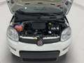 Fiat Panda 1.0 ADAS ICON Hybrid PROMO CAR SERENITY Bianco - thumbnail 22